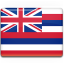 Hawaii-Flag-64
